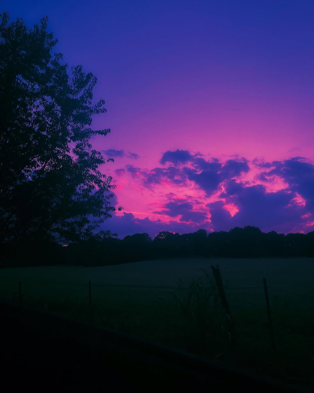 pink skies 3