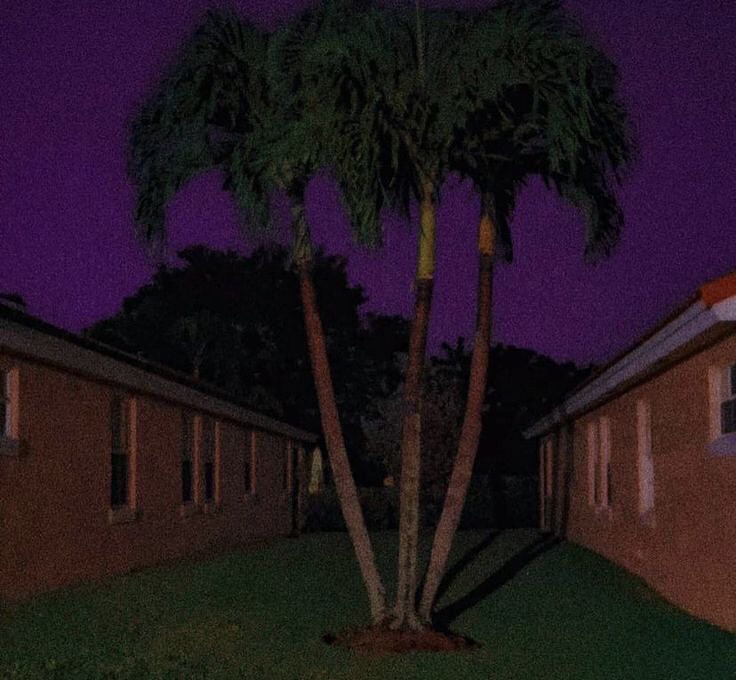 Here some liminal warmth for ya