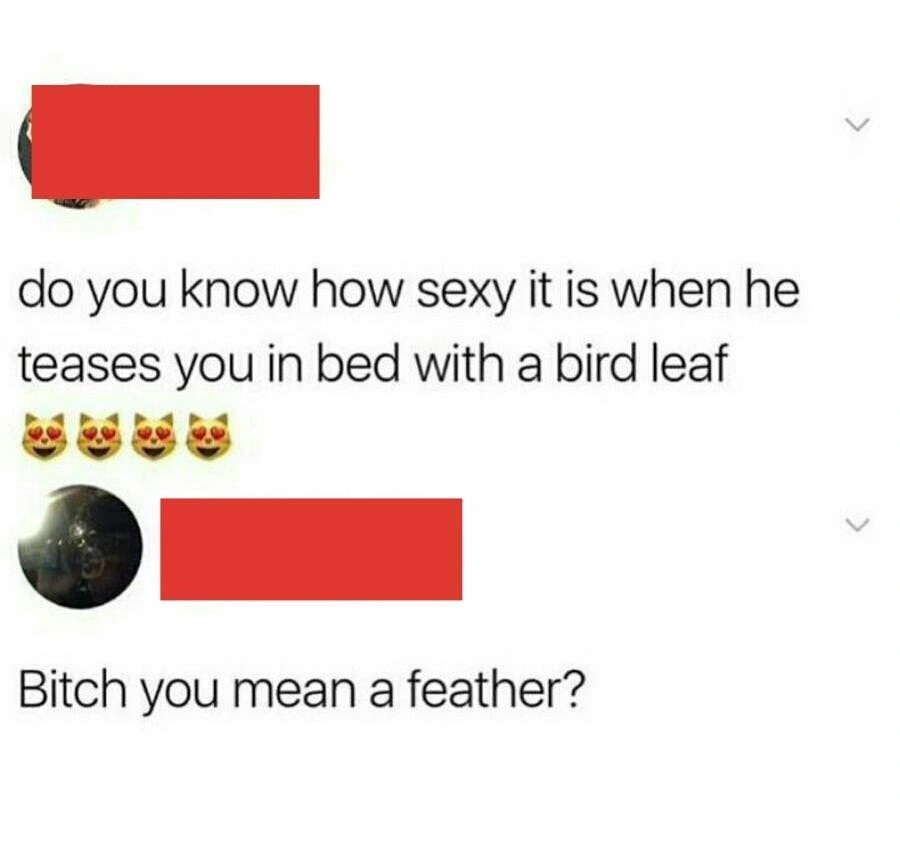 bird leaf